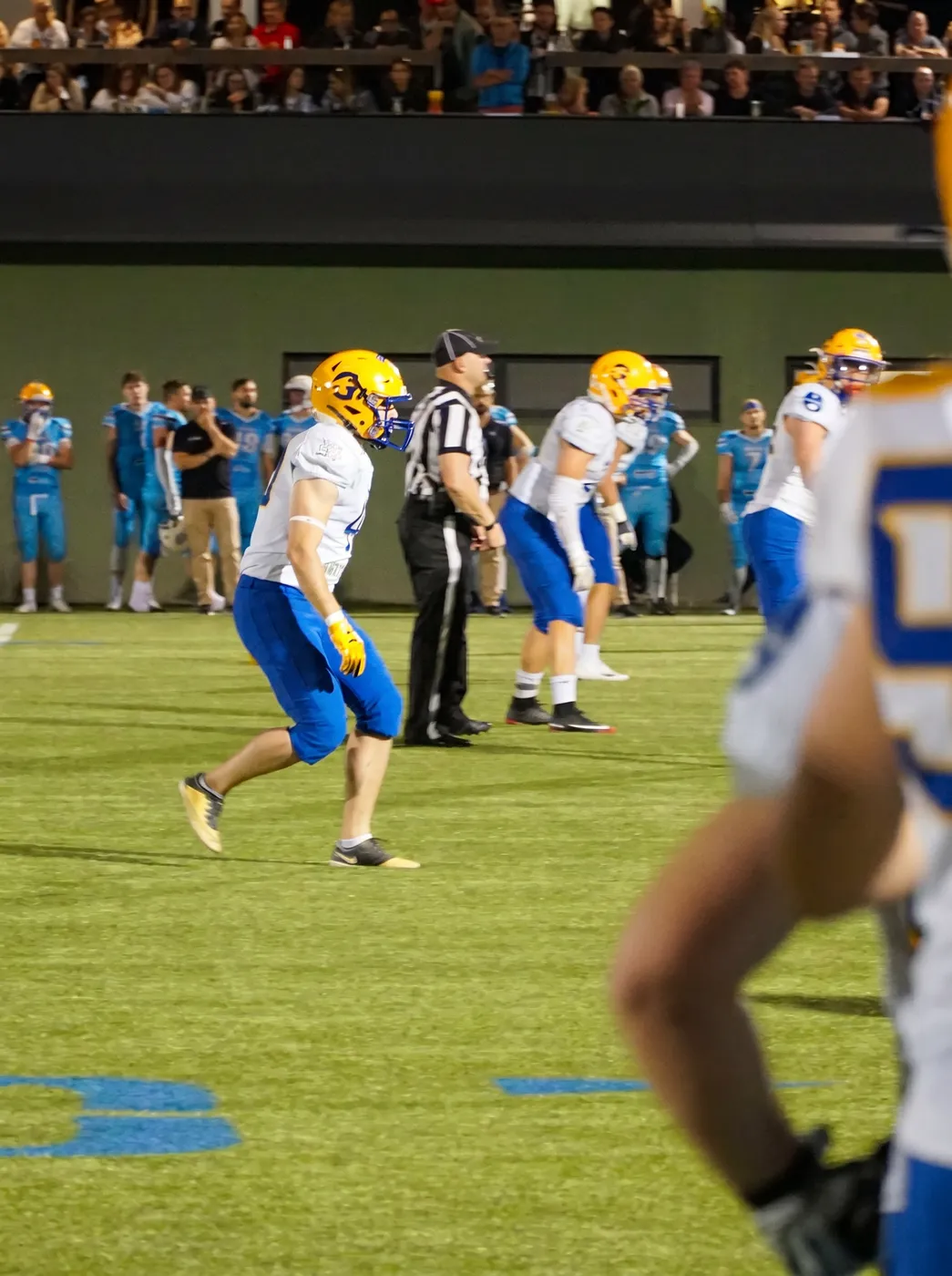 Giants in Action